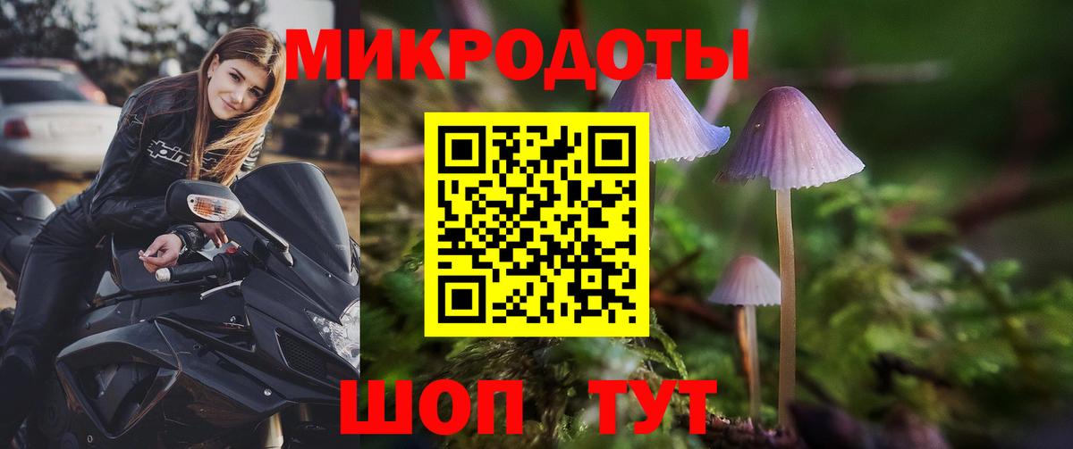 Галлюциногенные грибы прущие грибы Кушва